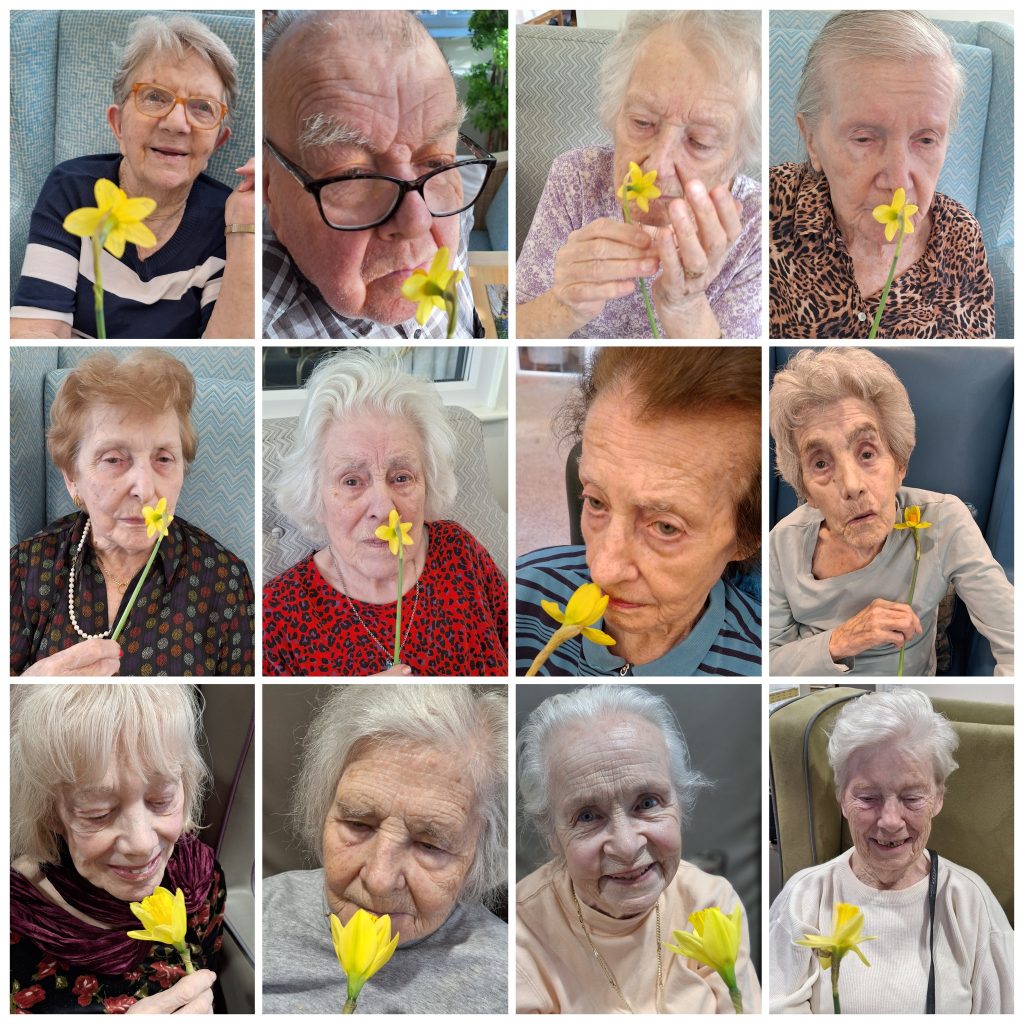 Residents smelling daffodils during St David’s Day celebration activity at Springdene Care Homes.