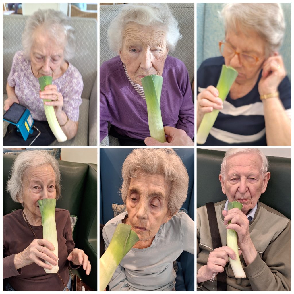 Care home residents engaging in sensory activity smelling fresh leeks during St David’s Day celebration.