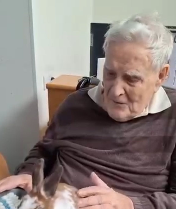 Resident meeting a bearded dragon during a wellbeing activity at Springdene Care Homes.