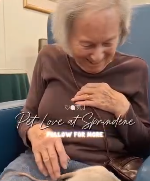 Smiles, Conversation and New Experiences as Megan’s Petting Paradise Visits Springdene Care Homes