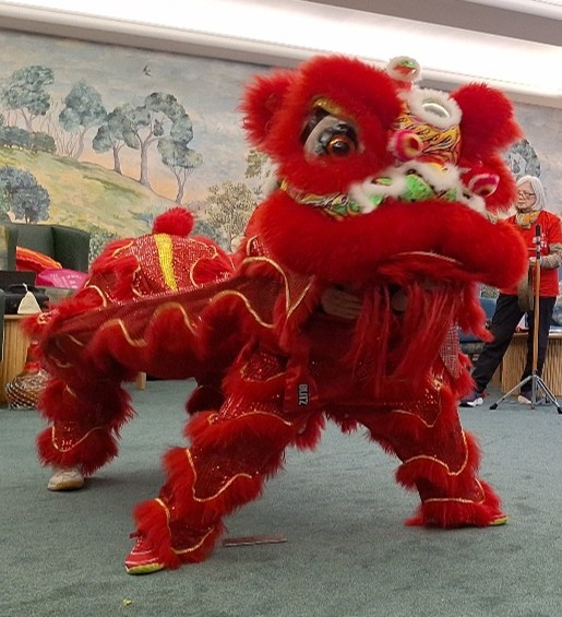 Chinese lion dance performance during Chinese New Year celebrations at Springdene Care Homes.